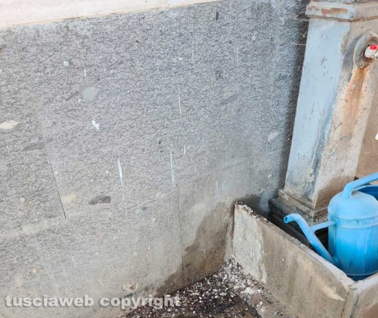 Viterbo - Al cimitero di San Lazzaro sporcizia, erbacce, guano di volatili, nugoli di zanzare, una incuria vergognosa