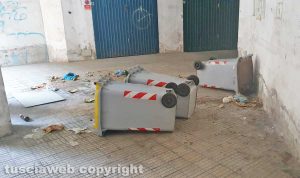 Viterbo - Cassonetti rovesciati dai cinghiali in via Genova