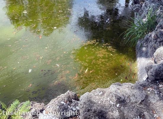 Pratogiardino Lucio Battisti - La vasca principale svuotata e riempita di nuovo - Fogna era e fogna rimane