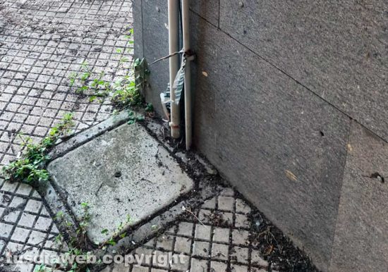 Viterbo - Al cimitero di San Lazzaro sporcizia, erbacce, guano di volatili, nugoli di zanzare, una incuria vergognosa
