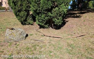 Viterbo - Rami al parco giochi della Quercia 