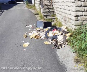 Viterbo - Immondizia in strada a causa dei cinghiali