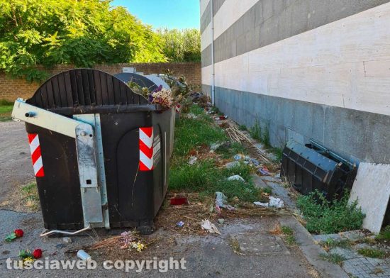 Viterbo - Al cimitero di San Lazzaro sporcizia, erbacce, guano di volatili, nugoli di zanzare, una incuria vergognosa