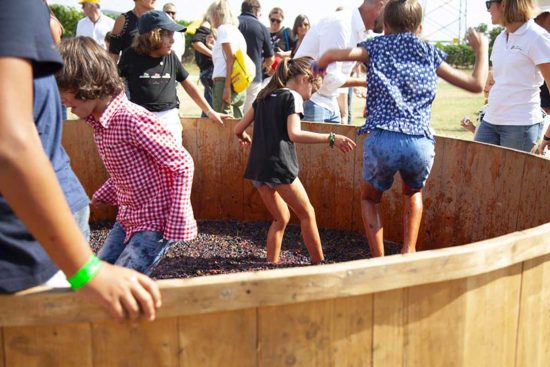 Vendemmia in fattoria: pigiatura con i piedi
