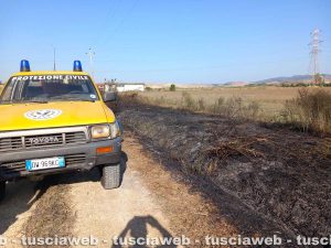 Tarquinia - Incendio in località Olivastro