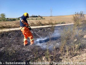 Tarquinia - Incendio in località Olivastro