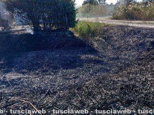 Tarquinia - Incendio in località Olivastro