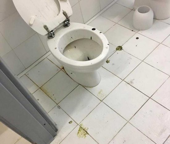 Gradoli - Vandali in azione a scuola