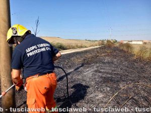 Tarquinia - Incendio in località Olivastro