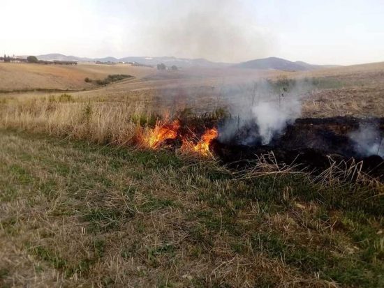 Tarquinia - Incendio di sterpaglie in località Farnesiana