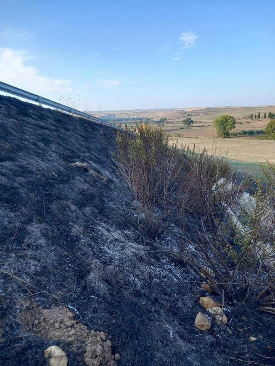 Tarquinia - Incendio di sterpaglie in località Farnesiana