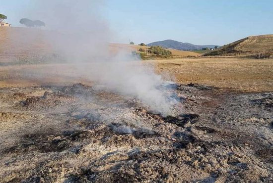 Tarquinia - Incendio di sterpaglie in località Farnesiana