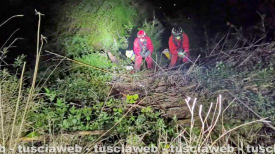 Viterbo - Puledro cade in una scarpata, salvato dai vigili del fuoco