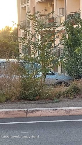 Viterbo - Erbacce in viale Bruno Buozzi