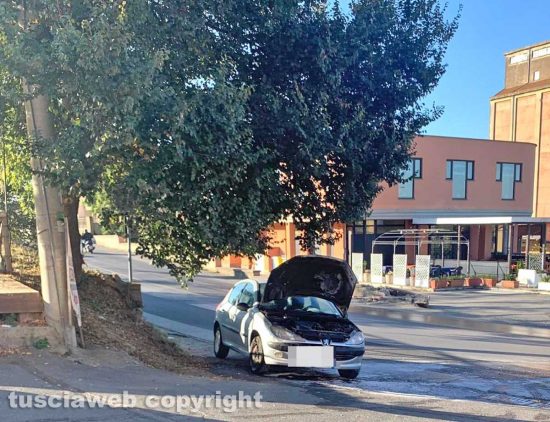 Tarquinia - A fuoco motore di un'auto