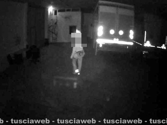 Tarquinia - S'introducono in un'azienda agricola