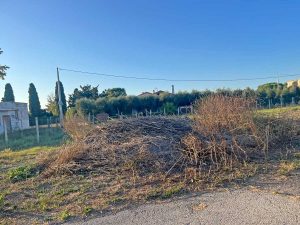 Montalto di Castro - Erba incolta al palazzetto