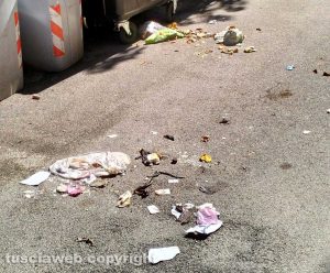 Viterbo - Rifiuti rovesciati dai cinghiali in via 1° Maggio