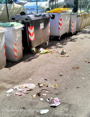 Viterbo - Rifiuti rovesciati dai cinghiali in via 1° Maggio