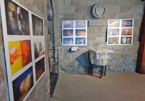 Viterbo Immagine