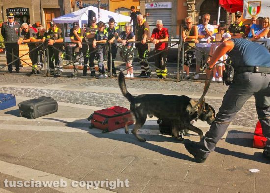 Soriano nel Cimino - La guardia di finanza con le unità cinofile alla manifestazione “Divertiamoci e impariamo dagli uomini in divisa” - La simulazione dei controlli antidroga