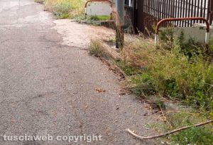 Viterbo - I marciapiedi invasi dalle erbacce in via Ciro Menotti