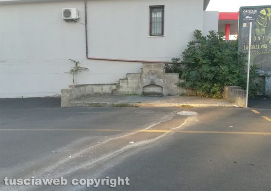 Viterbo - Perdita d'acqua riparata a pizzale Romiti - Restano la pianta di fico e i rifiuti