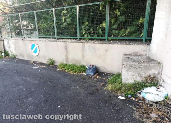 Viterbo - Perdita d'acqua riparata a pizzale Romiti - Restano la pianta di fico e i rifiuti