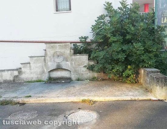 Viterbo - Perdita d'acqua riparata a pizzale Romiti - Restano la pianta di fico e i rifiuti 