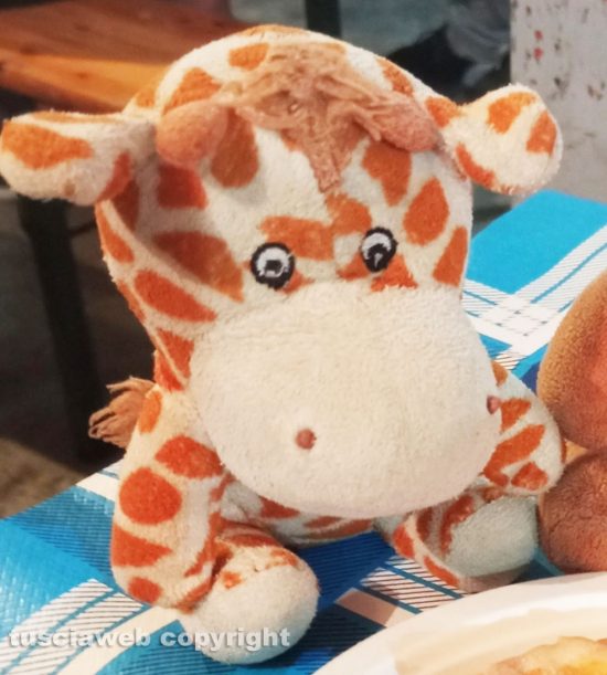 Peluche smarrito 