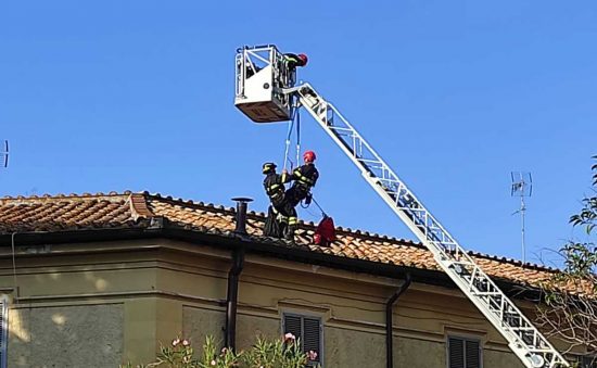 Viterbo - Avvallamento del tetto per cedimento di una trave in una palazzina in via del Massaro