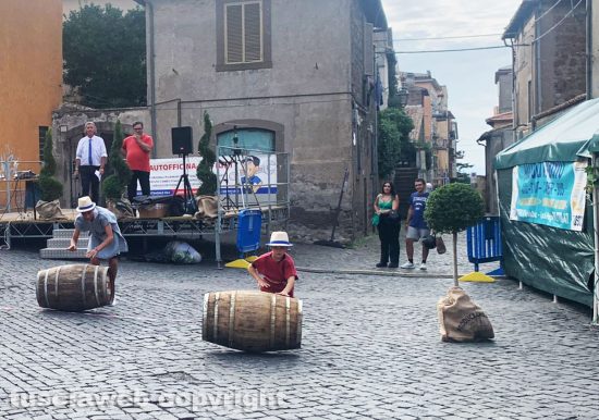 Viterbo - Palio delle botti dei bambini 2023