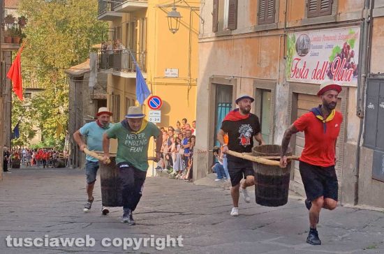 Viterbo - Palio delle botti