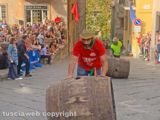 Viterbo - Palio delle botti