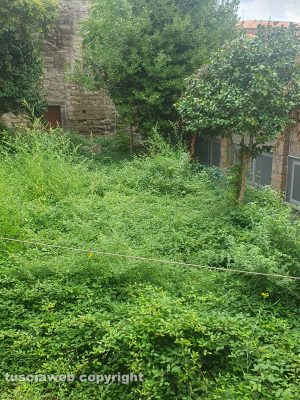 Viterbo - Degrado nell'area adiacente il liceo Ruffini