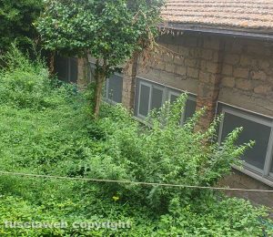 Viterbo - Degrado nell'area adiacente il liceo Ruffini