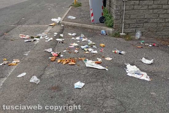 Viterbo - Il passaggio dei cinghiali in via Monti Cimini