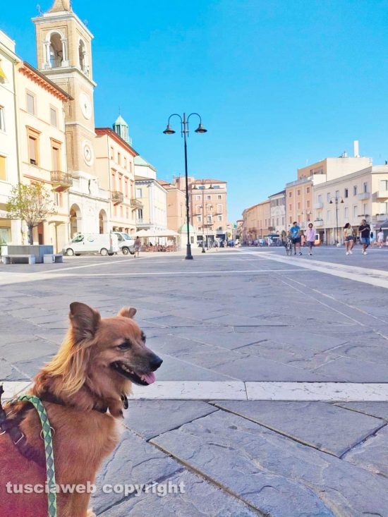 Rimini - Ulisse