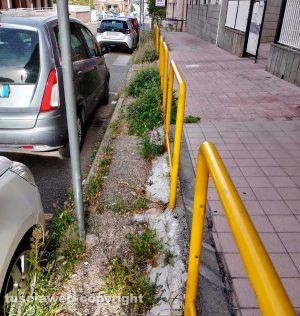 Viterbo - Erbacce sui marciapiedi in via Polidori