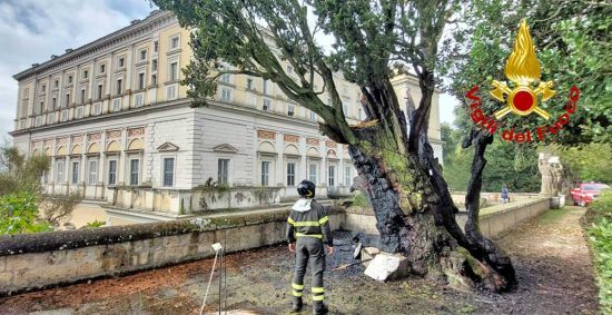 Caprarola - Fulmine colpisce e incendia albero a palazzo Farnese - I vigili del fuoco