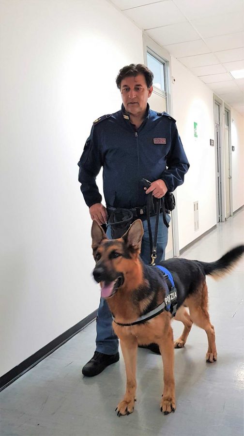 Terni - Controlli polizia con pastore antidroga Odina 