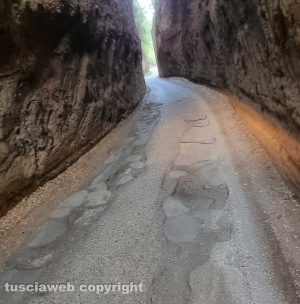 Viterbo - Buche in strada Signorino