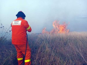 Incendio a Tarquinia, bruciano le Saline