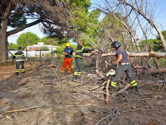 Tarquinia - Intervento vigili del fuoco e volontari Aeopc