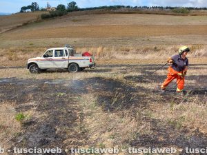 Tarquinia - Fiamme in un campo in località Borgo dell'argento