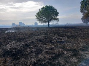 Incendio a Tarquinia, bruciano le Saline