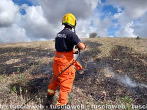 Tarquinia - Fiamme in un campo in località Borgo dell'argento