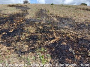 Tarquinia - Fiamme in un campo in località Borgo dell'argento