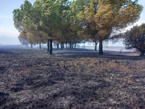 Incendio a Tarquinia, bruciano le Saline