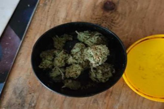 Faleria - La marijuana sequestrata